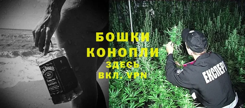 Бошки Шишки SATIVA & INDICA  закладки  Гай 